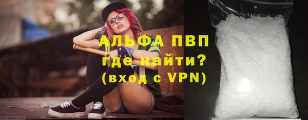 стаф Елизово
