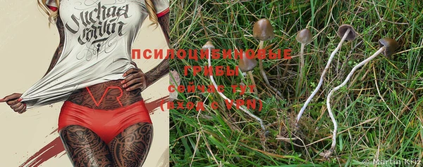 синтетический гашиш Ельня