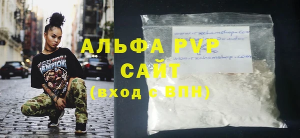 стаф Елизово
