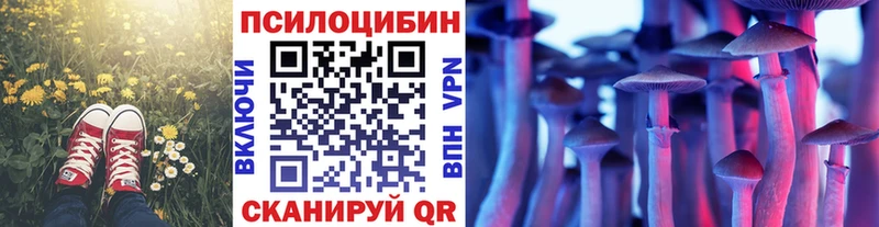 Галлюциногенные грибы прущие грибы где можно купить Пионерский