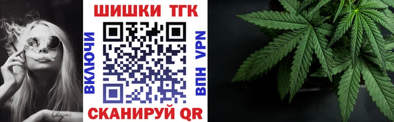 купить наркотик  Пионерский  Бошки марихуана ГИДРОПОН 